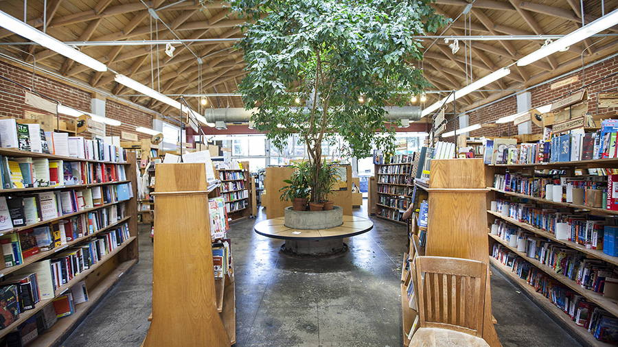 Featured image of Multimedia Storytelling Experience